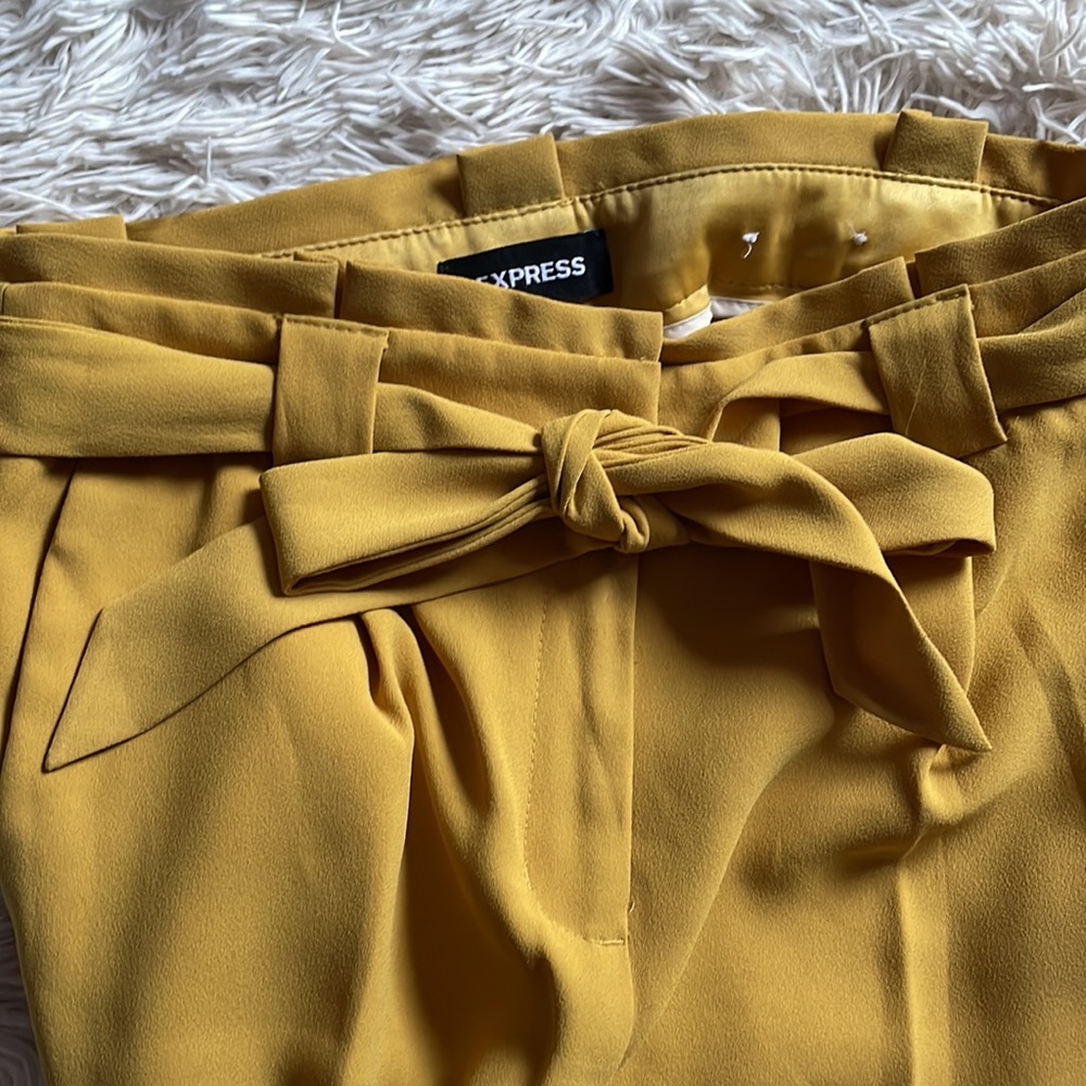 Express Work Pants - Picture 2 of 6